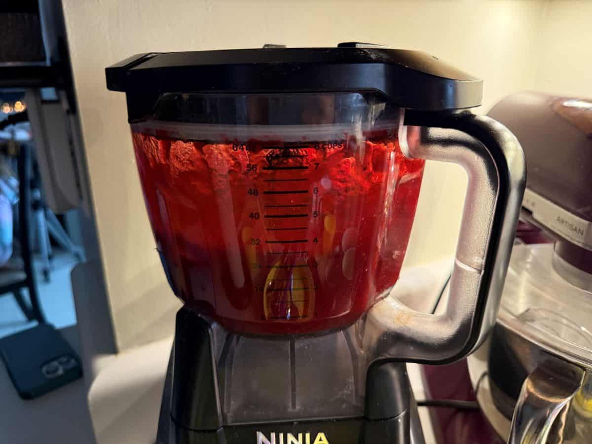 a cranberry mixture being pureed in a food processor