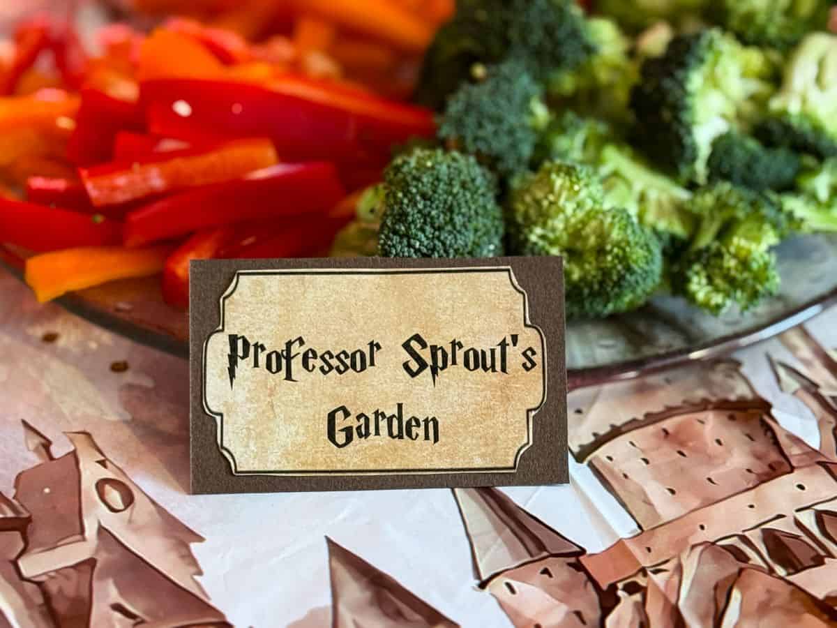 a veggie tray labeled "Professor Sprout's Garden"