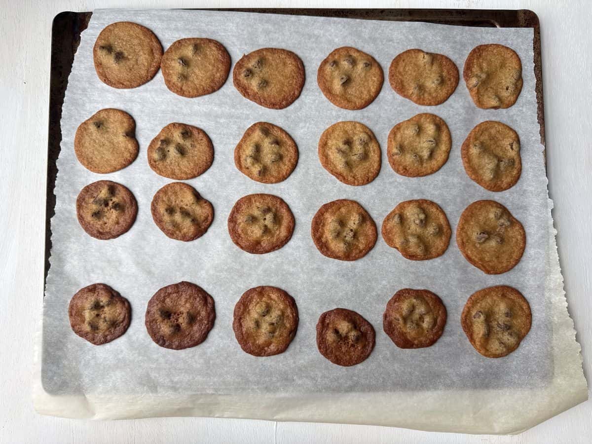 small chocolate chip cookies baked on a parchment lined cookie sheet