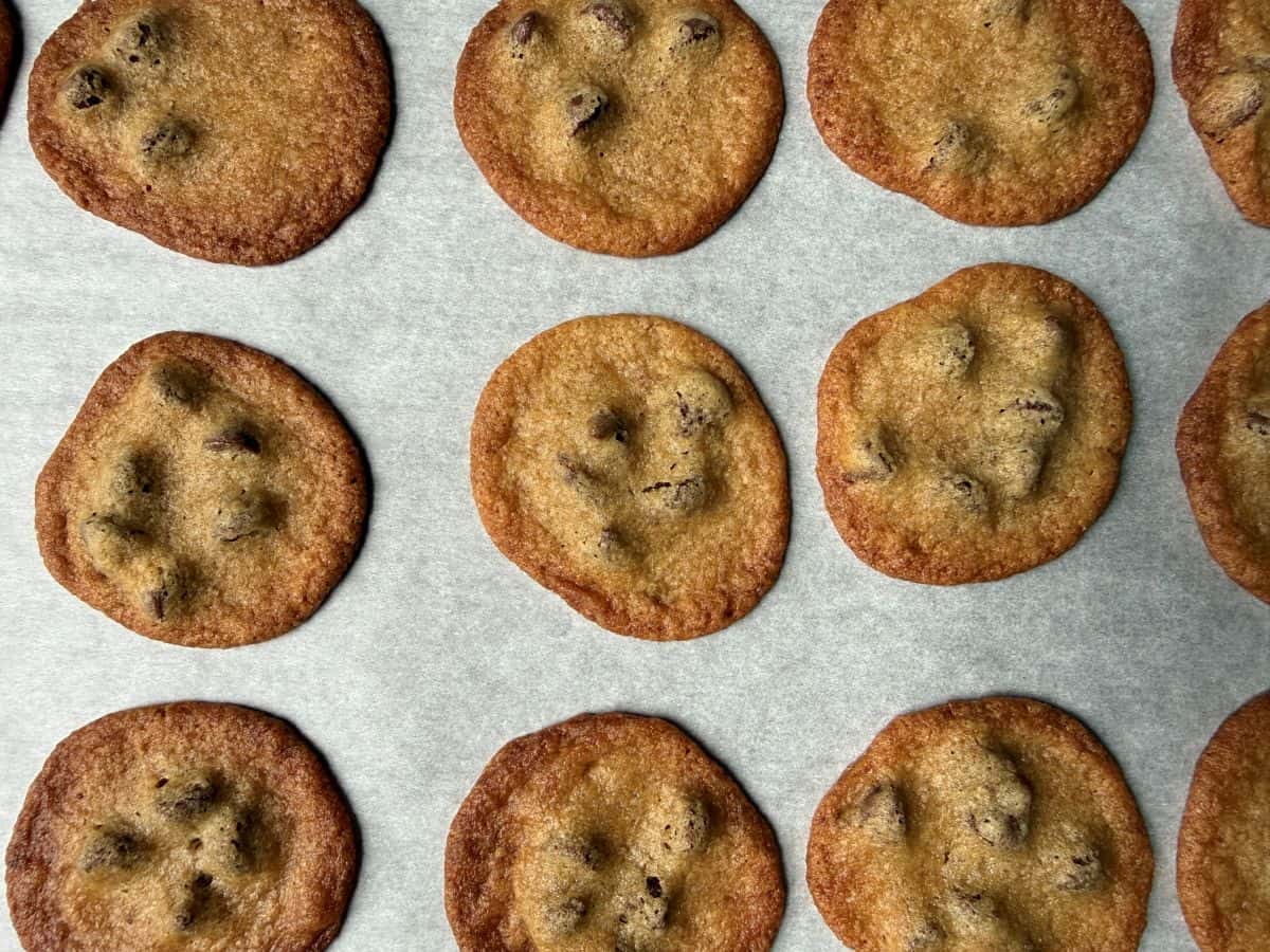 small chocolate chip cookies baked on a parchment lined cookie sheet