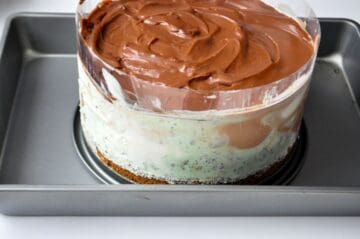 the sides of a springform pan removed from an ice cream cake