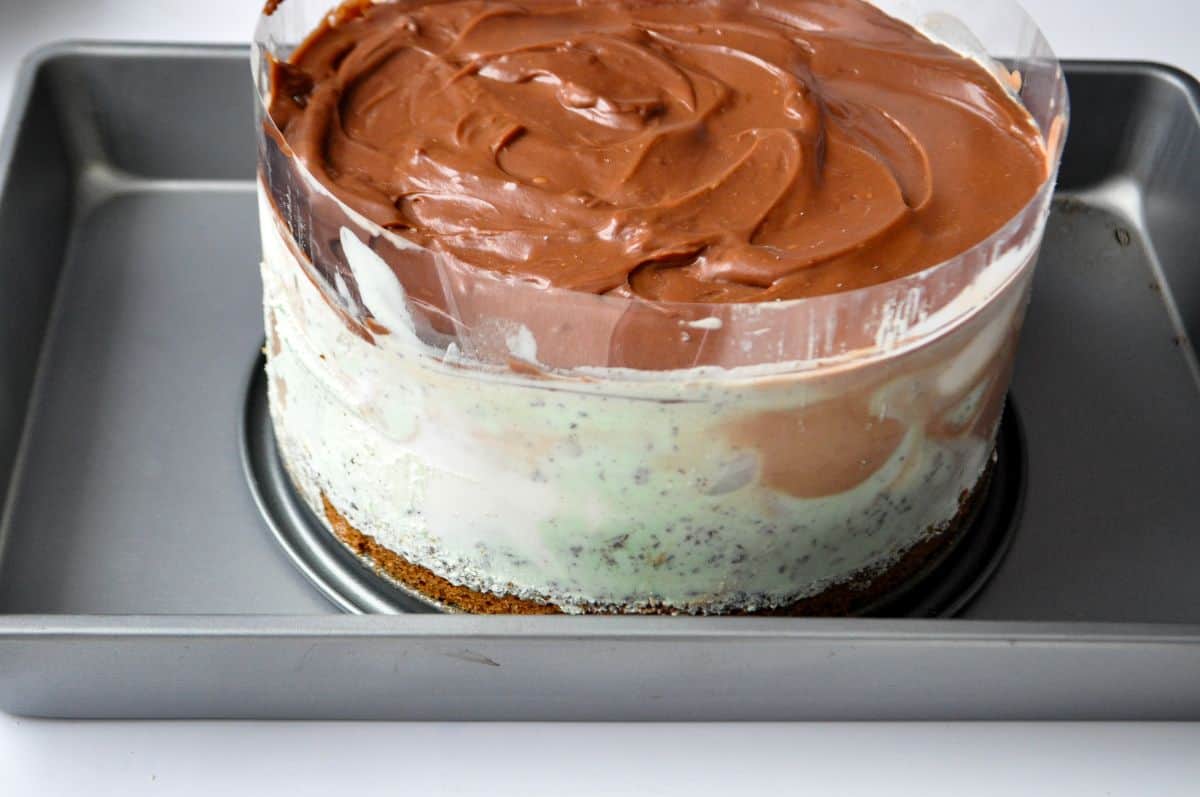 the sides of a springform pan removed from an ice cream cake