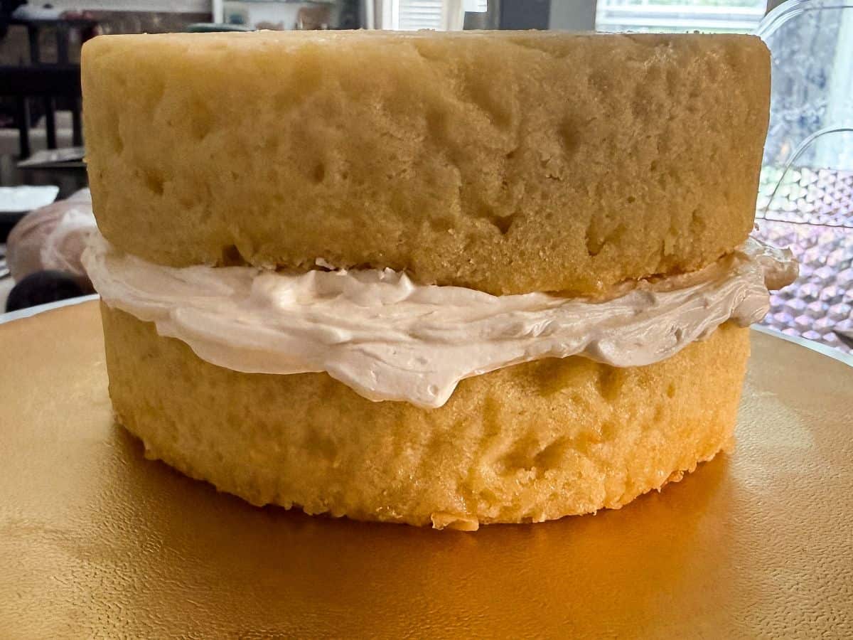 two vanilla cake layers stacked up with vanilla buttercream between the layers