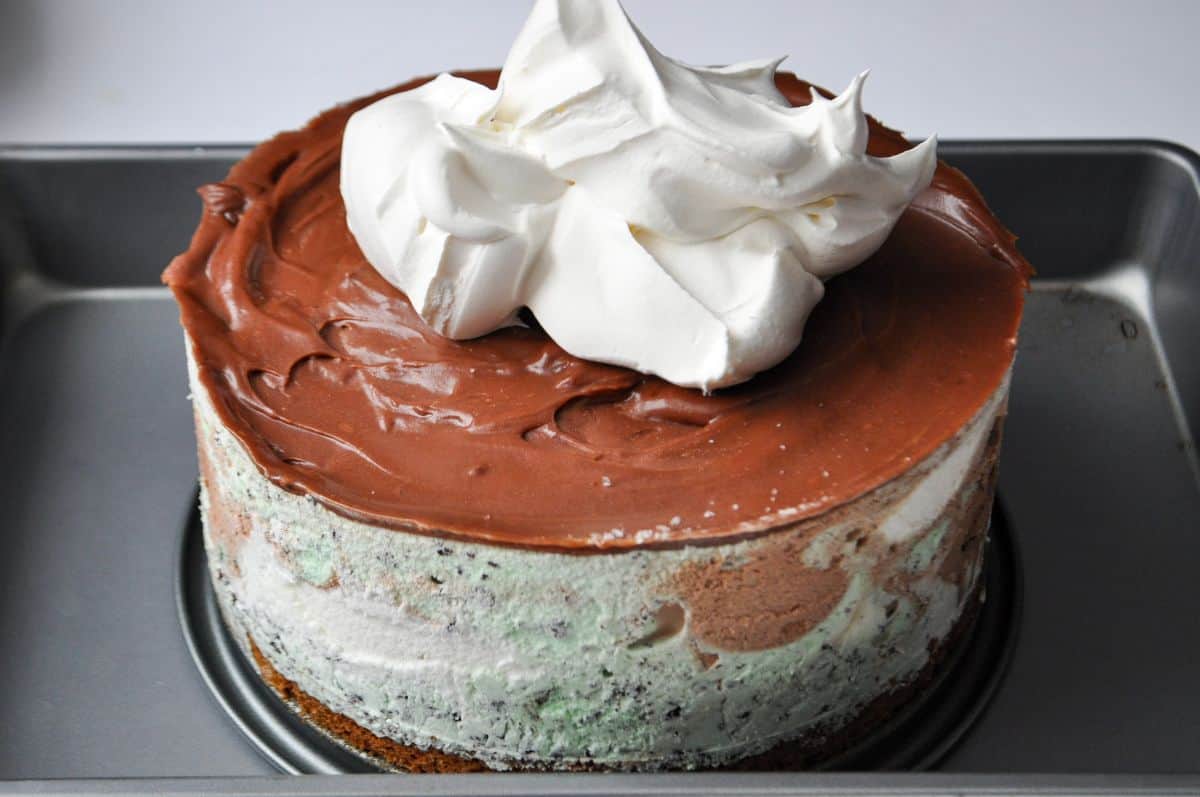a mound of whipped topping on an ice cream cake
