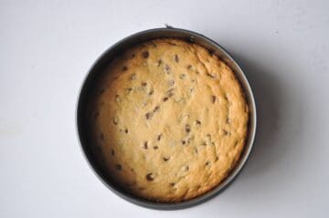 chocolate chip cookie baked in a round springform pan