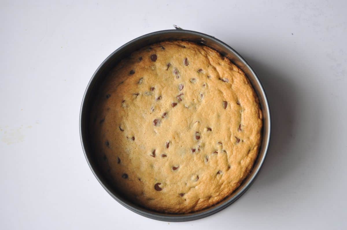 chocolate chip cookie baked in a round springform pan